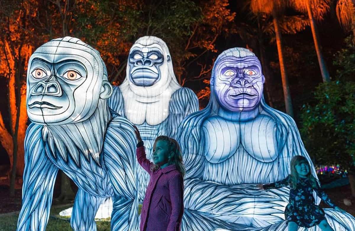 景区灯光节引流技巧-花不同彩灯