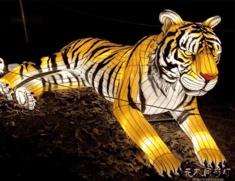 10大动物园灯光布置方案，让夜游收入翻倍