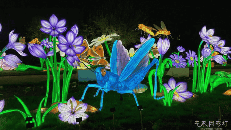 昆虫灯光秀设计指南