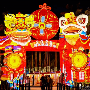 2025深圳新春灯会