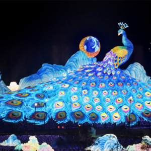 预算有限如何策划动画主题灯展？