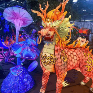 10大动物园灯光布置方案，让夜游收入翻倍