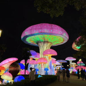 灯光节命名艺术：如何给灯光秀起一个吸引百万客流的名字？