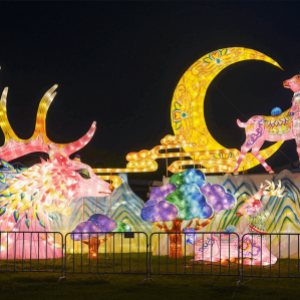 【案例复盘】|九龙湾花星球灯光节