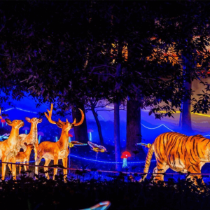 【奇幻森林主题灯光节案例】