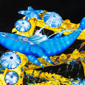 【海洋主题灯光节案例】