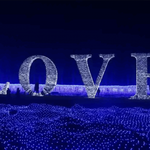 【浪漫主题灯光节案例】