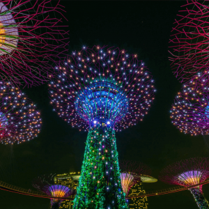 【城市灯光节整体解决方案】