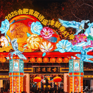 【可回收·可持续灯光节方案】