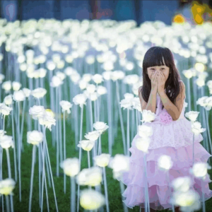 【亲子家庭主题灯光节方案】